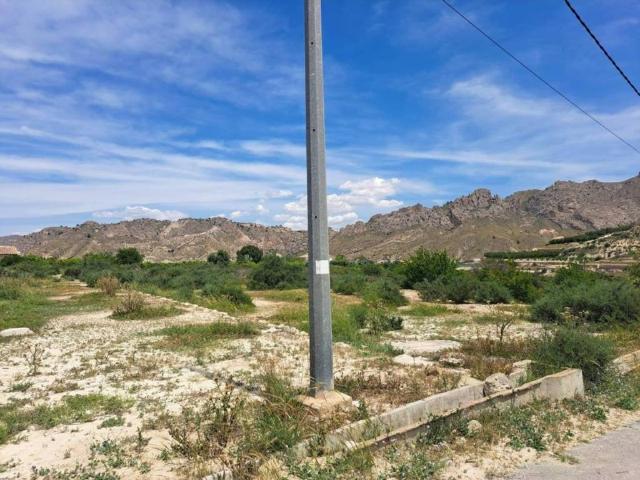 Terreno en venta en Abarán, Región de Murcia