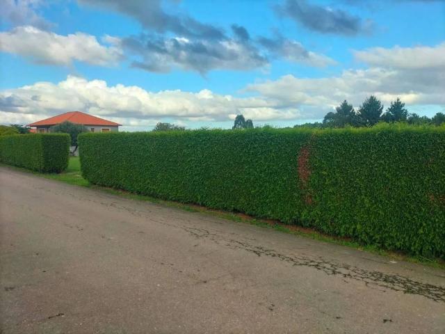 Terreno en venta en O Barral, Abegondo