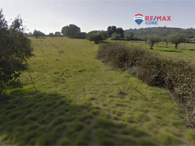 Terreno en venta en Abertura, Extremadura