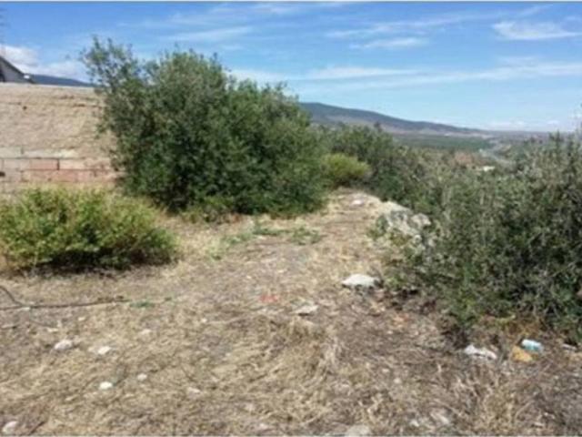 Terreno en venta en Abla, Andalucía