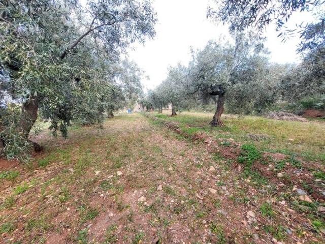 Terreno en venta en Abrucena, Andalucía