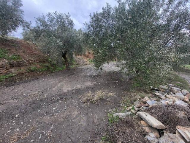 Terreno en venta en Abrucena, Andalucía
