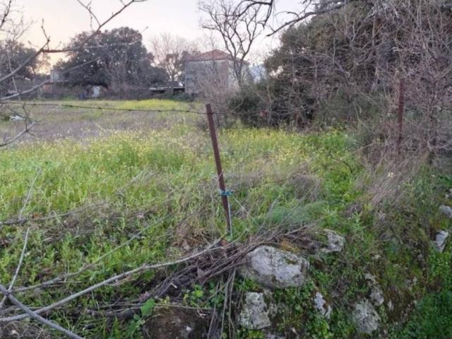 Terreno en venta en Aceituna, Extremadura