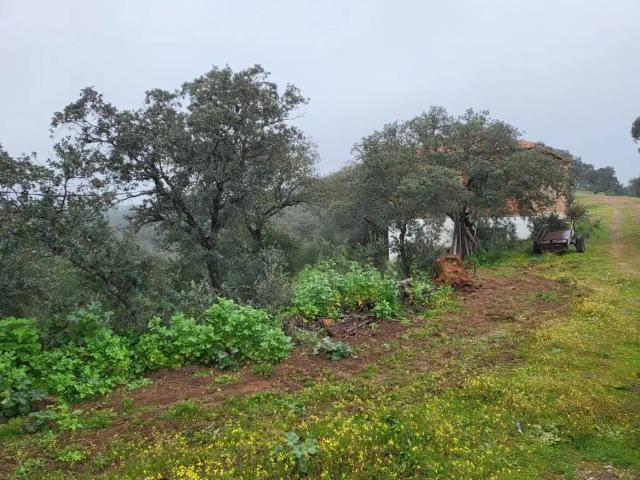 Terreno en venta en Adamuz, Andalucía