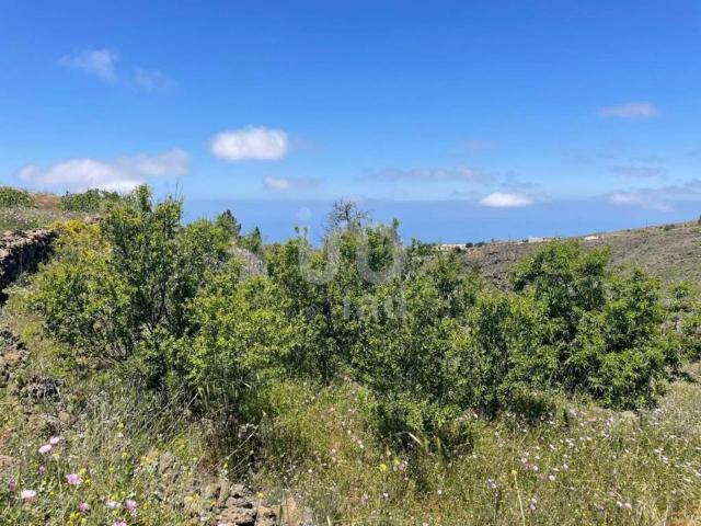 Terreno en venta en Adeje
