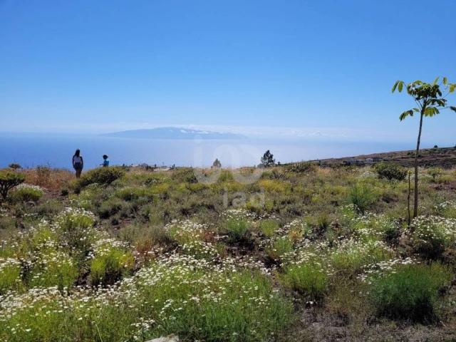 Terreno en venta en Adeje