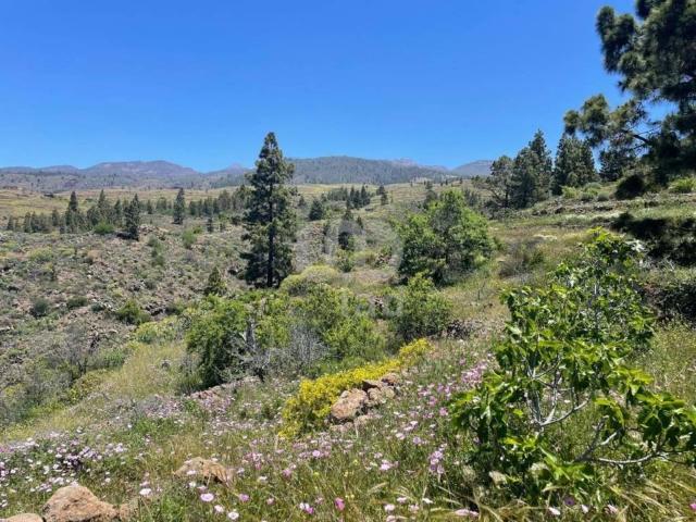 Terreno en venta en Adeje