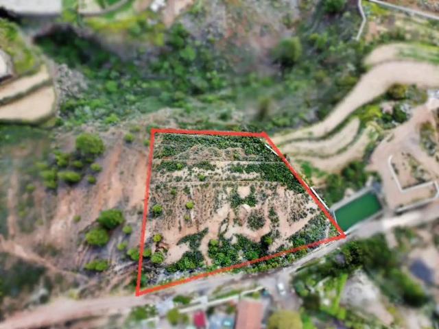 Terreno en venta en Adeje, Canarias