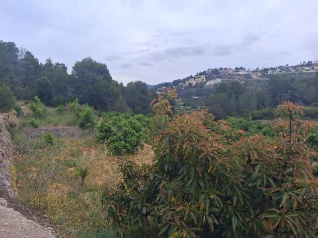 Terreno en venta en la Safor, Valencia