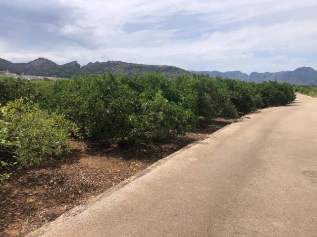 Terreno en venta en la Safor, Valencia