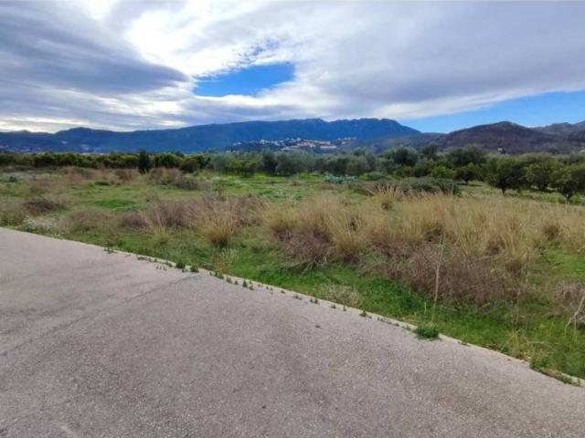 Terreno en venta en la Safor, Valencia