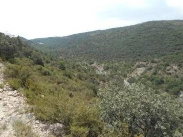 Terreno en venta en Noguera, Catalunya