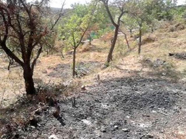 Terreno en venta en Àger