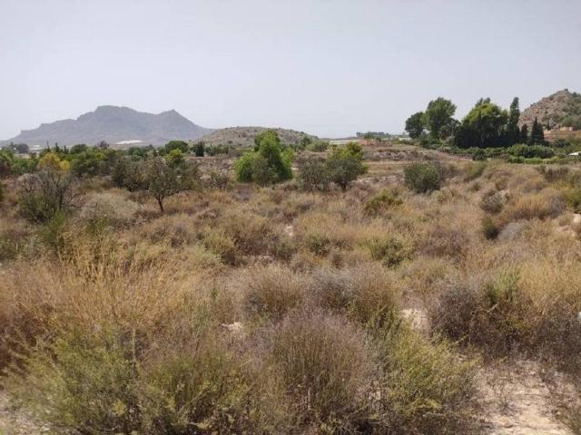 Terreno en venta en l'Alacantí, Valencia