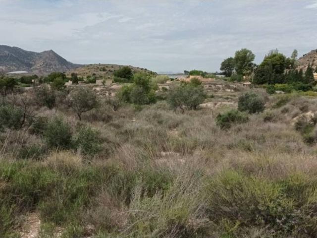 Terreno en venta en l'Alacantí, Valencia