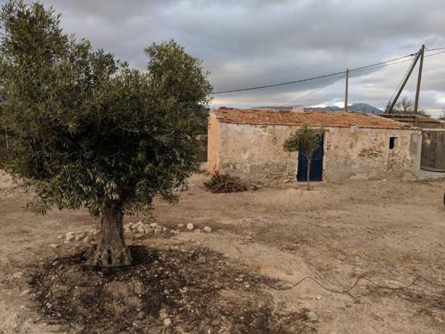 Terreno en venta en Agost Terreno en venta en Agost