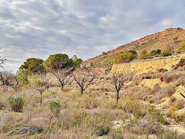Terreno en venta en l'Alacantí, Valencia