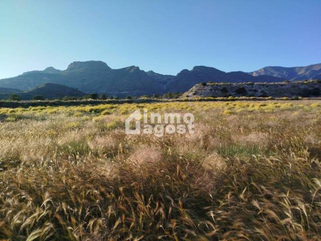 Terreno en venta en l'Alacantí, Valencia