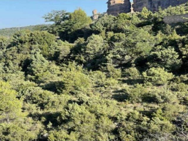Terreno en venta en Hoya de Huesca / Plana de Uesca, Aragón