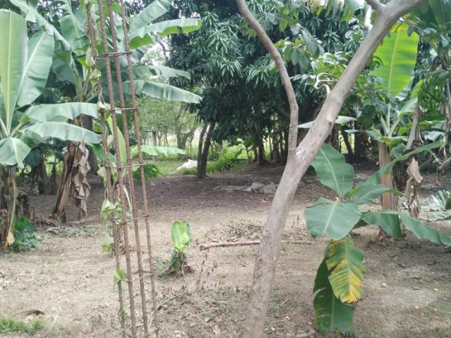 Terreno en venta en Valencia, Carabobo