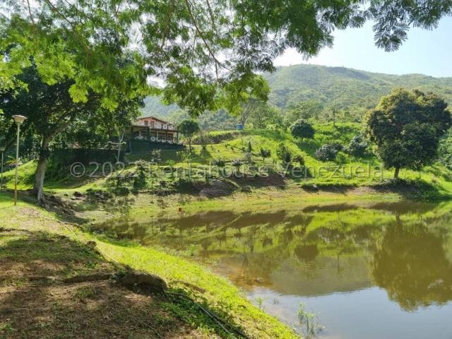 Propiedad en venta en Montalbán, Carabobo
