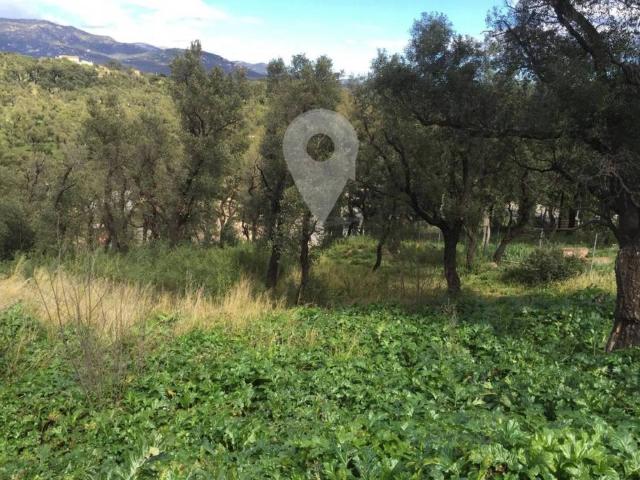 Terreno en venta en Alt Empordà, Catalunya