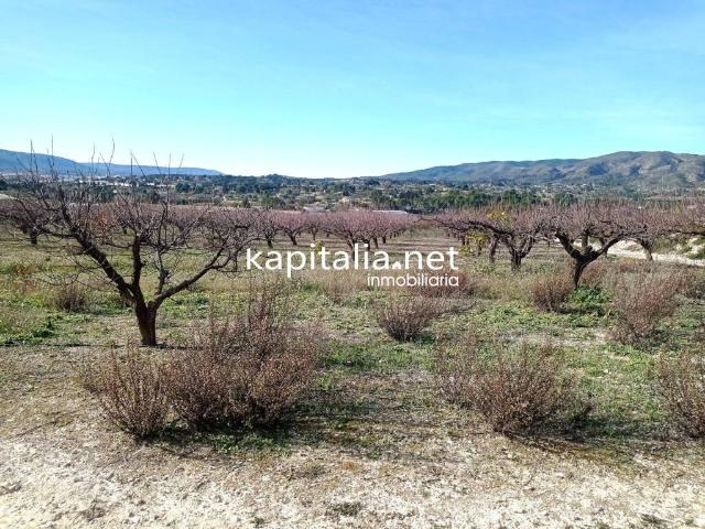 Terreno en venta en la Vall d'Albaida, Valencia