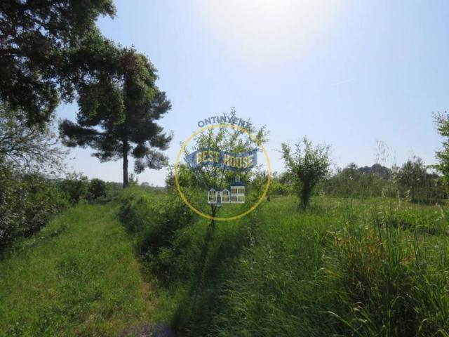 Terreno en venta en la Vall d'Albaida, Valencia