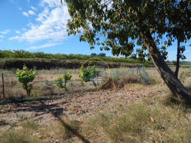 Terreno en venta en la Vall d'Albaida, Valencia