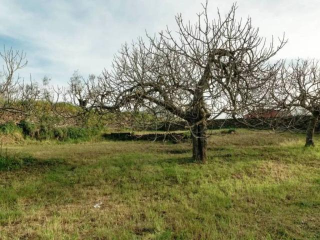 Terreno en venta en Ahigal, Extremadura