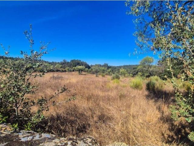 Terreno en venta en Ahigal de los Aceiteros, Salamanca