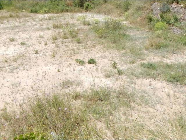 Terreno en venta en la Vall d'Albaida, Valencia