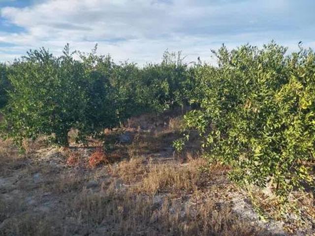 Terreno en venta en la Vall d'Albaida, Valencia