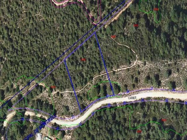 Terreno en venta en Aiguamúrcia