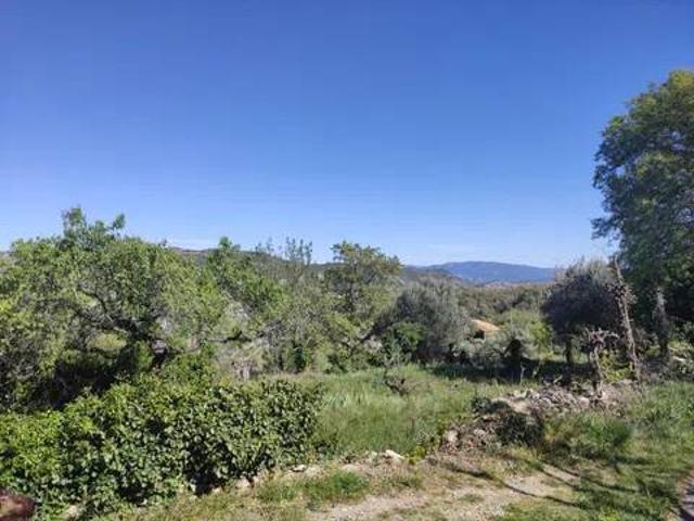 Terreno en venta en Aínsa-Sobrarbe/L´Aínsa-Sobrarbe, Aínsa-sobrarbe