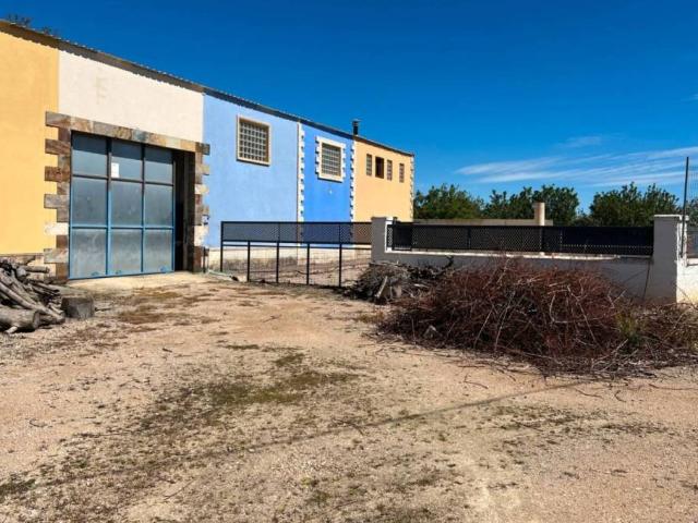 Terreno en venta en Campo de Borja, Aragón