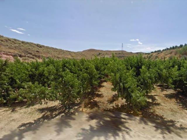 Terreno en venta en Segrià, Catalunya