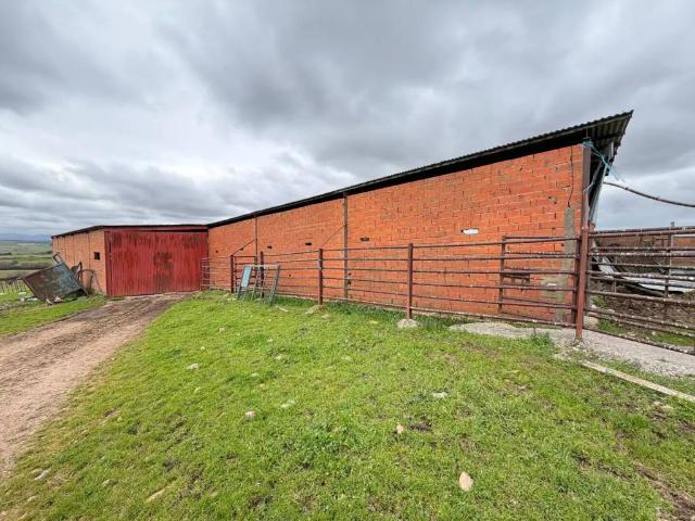 Terreno en venta en Alagón Del Río, Extremadura