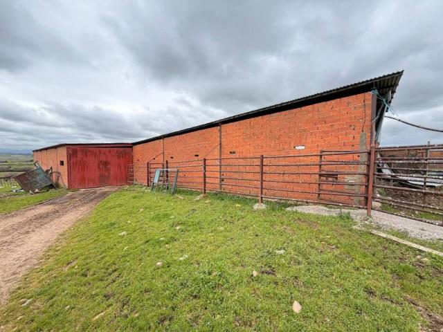 Terreno en venta en Alagón Del Río, Extremadura