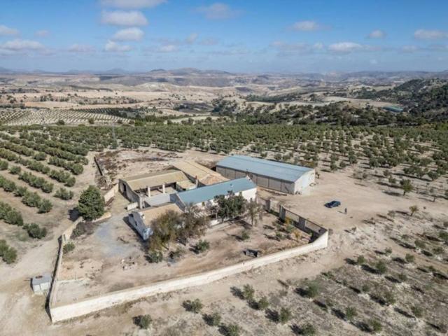 Terreno en venta en Comarca de Los Montes, Andalucía