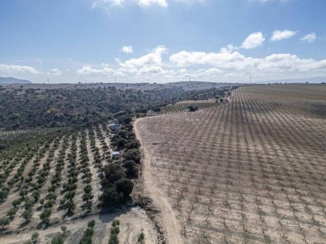 Terreno en venta en Comarca de Los Montes, Andalucía