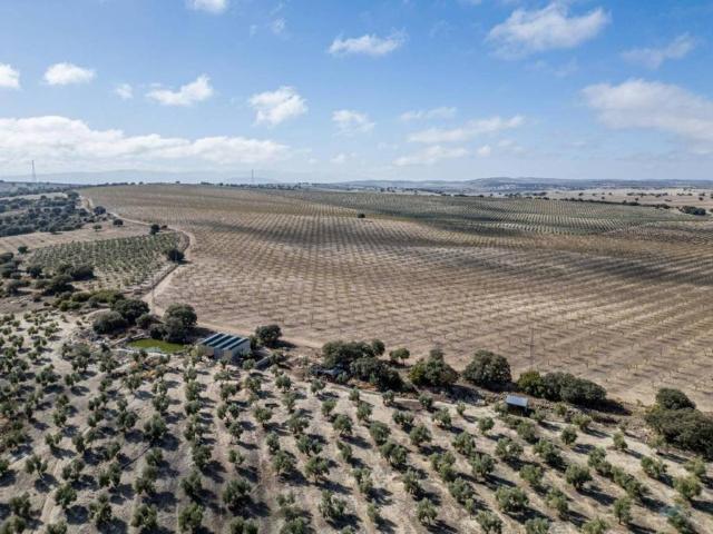 Terreno en venta en Comarca de Los Montes, Andalucía