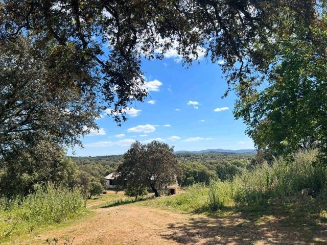 Terreno en venta en Alanís