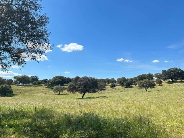 Casa Rural en venta en Alanís, Andalucía