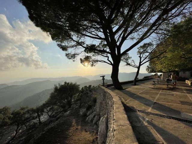 Terreno en venta en Alaró Terreno en venta en Alaró