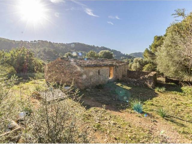 Terreno en venta en Raiguer, Baleares