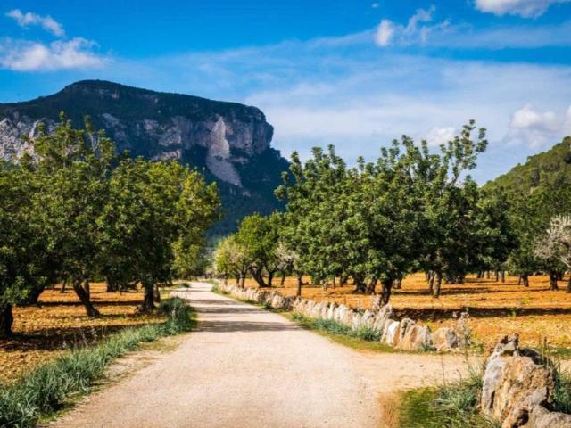 Terreno en venta en Raiguer, Baleares