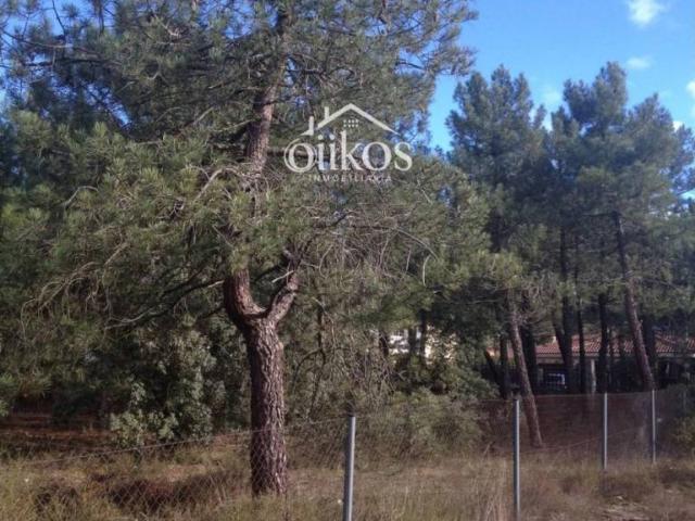 Terreno en venta en Alba De Tormes, Castilla y León