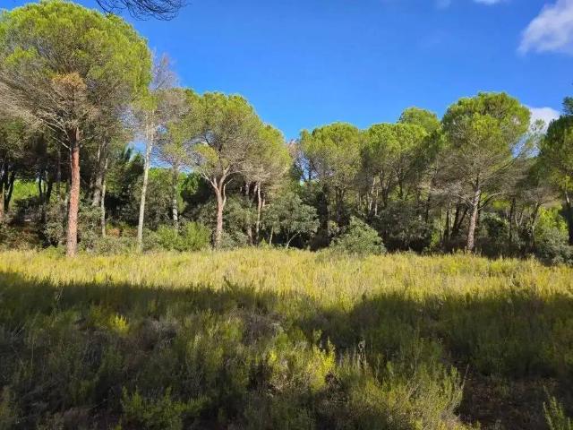 Terreno en venta en Albacete, Castilla-La Mancha