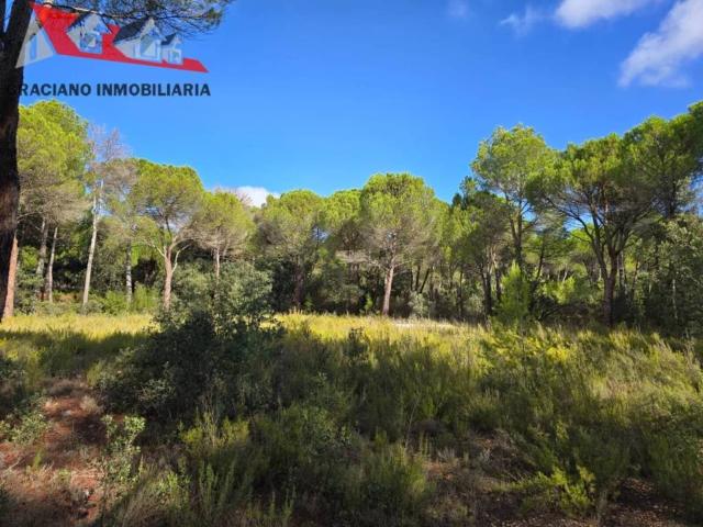 Terreno en venta en Albacete, Castilla-La Mancha